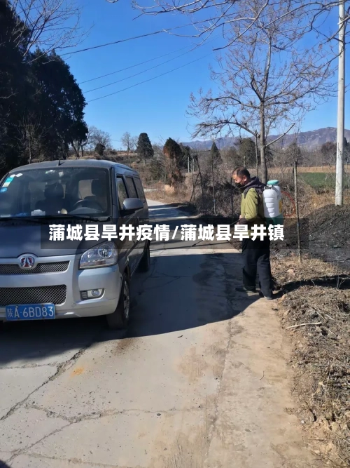 蒲城县旱井疫情/蒲城县旱井镇