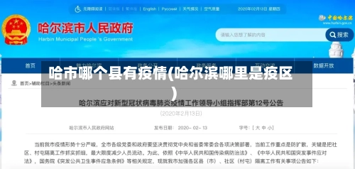 哈市哪个县有疫情(哈尔滨哪里是疫区)-第2张图片