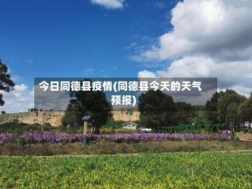 今日同德县疫情(同德县今天的天气预报)
