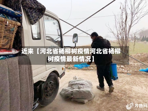 近来【河北省杨柳树疫情河北省杨柳树疫情最新情况】