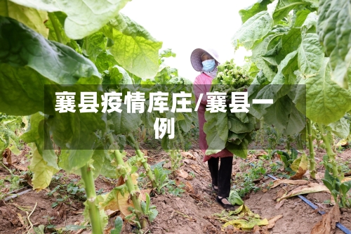 襄县疫情库庄/襄县一例-第3张图片