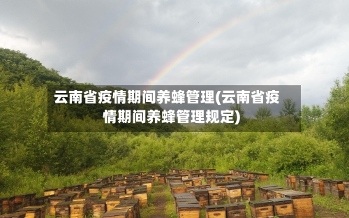 云南省疫情期间养蜂管理(云南省疫情期间养蜂管理规定)-第2张图片