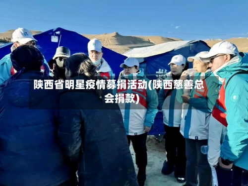 陕西省明星疫情募捐活动(陕西慈善总会捐款)-第2张图片