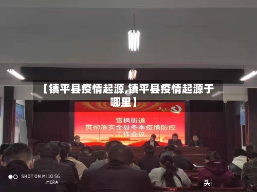 【镇平县疫情起源,镇平县疫情起源于哪里】-第2张图片