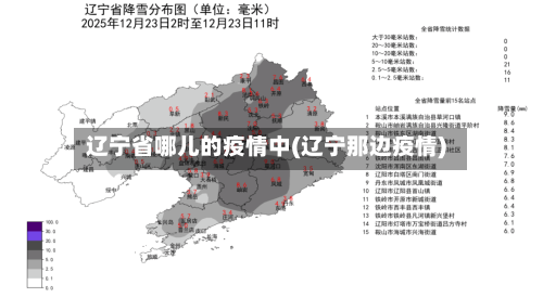 辽宁省哪儿的疫情中(辽宁那边疫情)