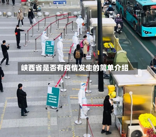 峡西省是否有疫情发生的简单介绍