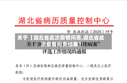 关于【湖北省此次疫情问责,湖北省此次疫情问责结果】-第2张图片