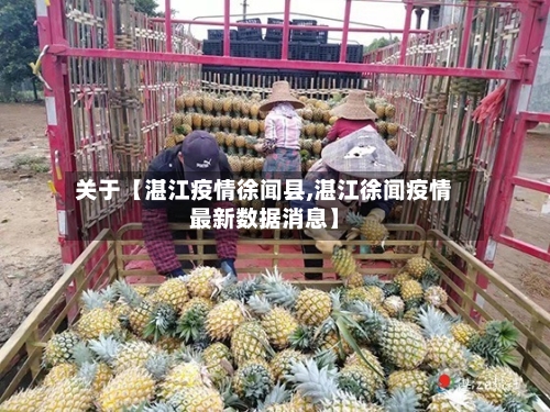 关于【湛江疫情徐闻县,湛江徐闻疫情最新数据消息】-第2张图片