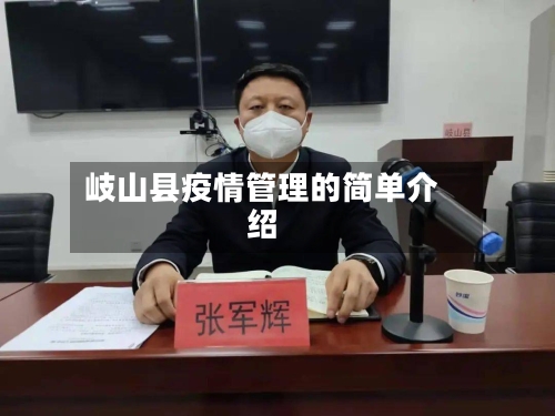 岐山县疫情管理的简单介绍