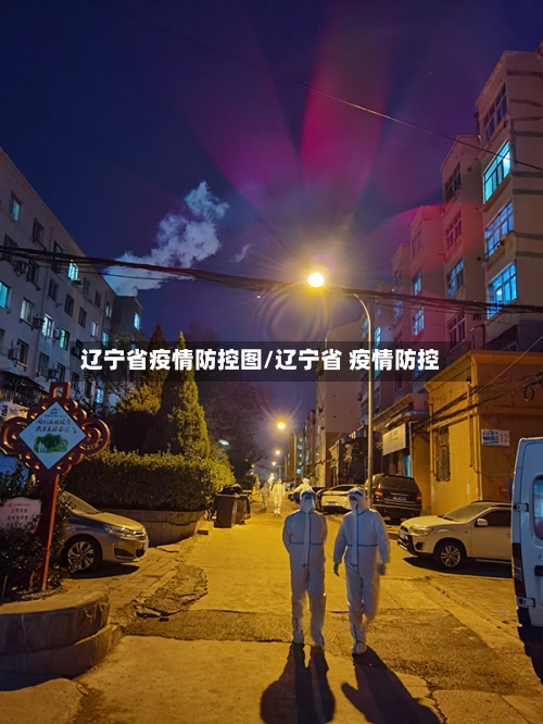 辽宁省疫情防控图/辽宁省 疫情防控-第2张图片