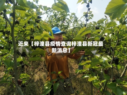 近来【梓潼县疫情查询梓潼县新冠最新消息】-第2张图片