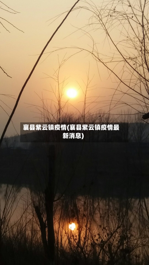 襄县紫云镇疫情(襄县紫云镇疫情最新消息)-第2张图片