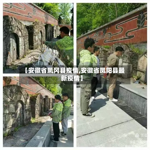 【安徽省凤冈县疫情,安徽省凤阳县最新疫情】-第3张图片