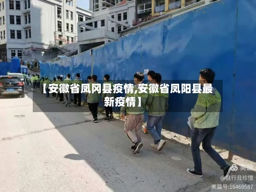 【安徽省凤冈县疫情,安徽省凤阳县最新疫情】-第2张图片