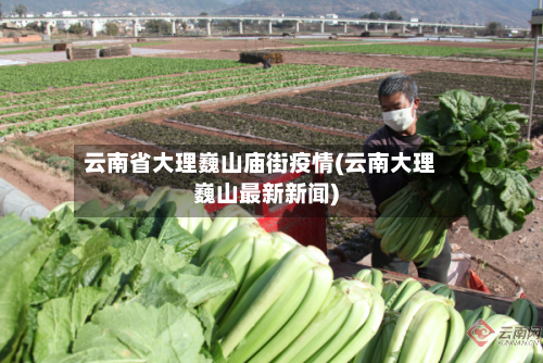 云南省大理巍山庙街疫情(云南大理巍山最新新闻)