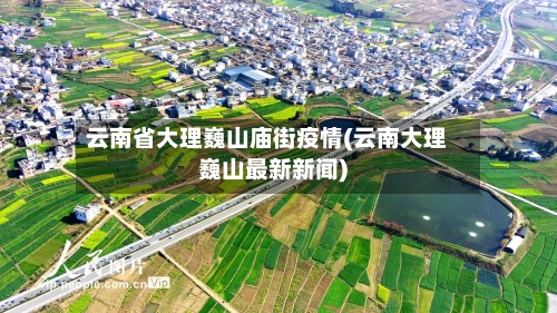 云南省大理巍山庙街疫情(云南大理巍山最新新闻)-第2张图片