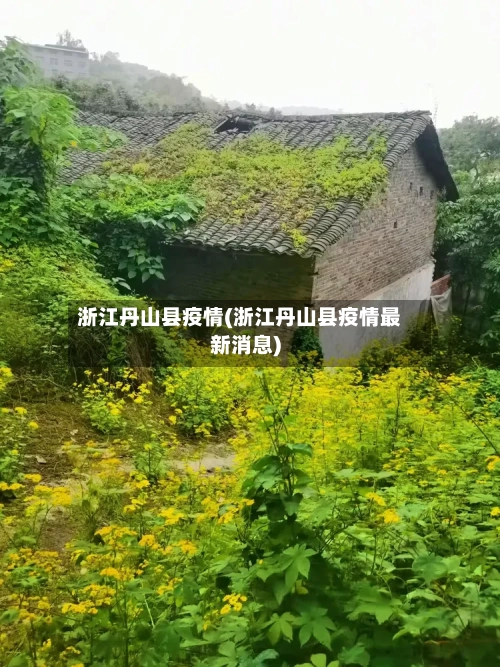 浙江丹山县疫情(浙江丹山县疫情最新消息)-第2张图片
