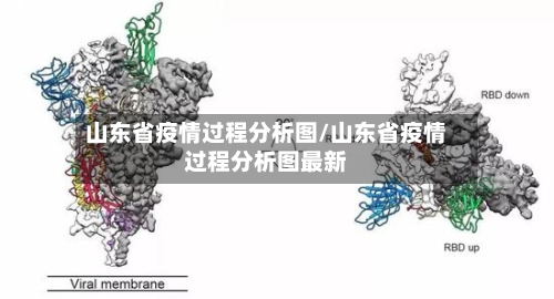 山东省疫情过程分析图/山东省疫情过程分析图最新-第3张图片