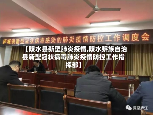 【陵水县新型肺炎疫情,陵水黎族自治县新型冠状病毒肺炎疫情防控工作指挥部】-第2张图片