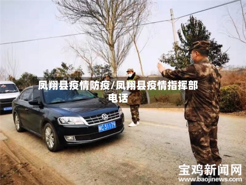 凤翔县疫情防疫/凤翔县疫情指挥部电话