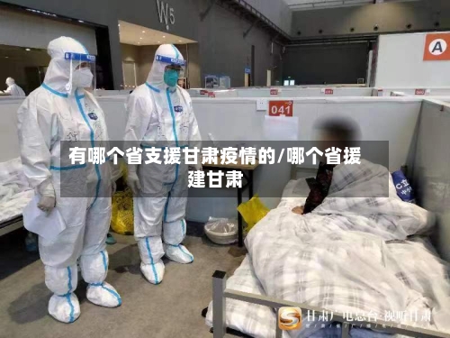 有哪个省支援甘肃疫情的/哪个省援建甘肃-第2张图片