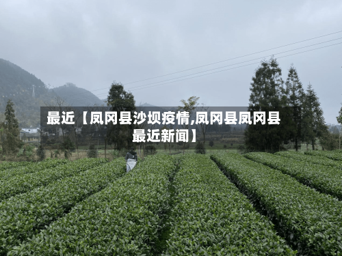 最近【凤冈县沙坝疫情,凤冈县凤冈县最近新闻】-第2张图片