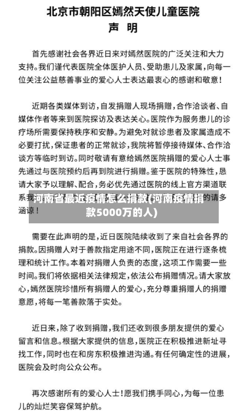 河南省最近疫情怎么捐款(河南疫情捐款5000万的人)