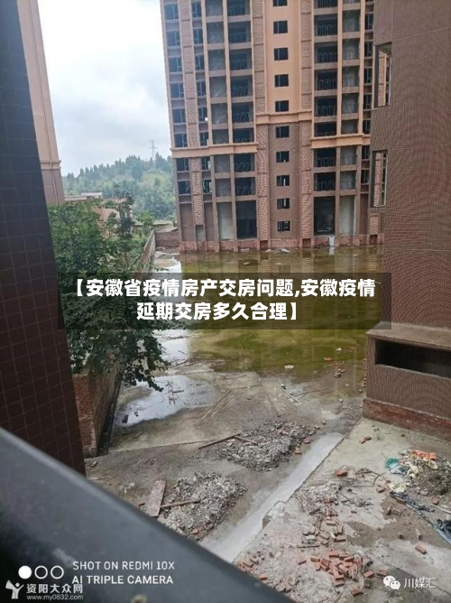 【安徽省疫情房产交房问题,安徽疫情延期交房多久合理】-第2张图片