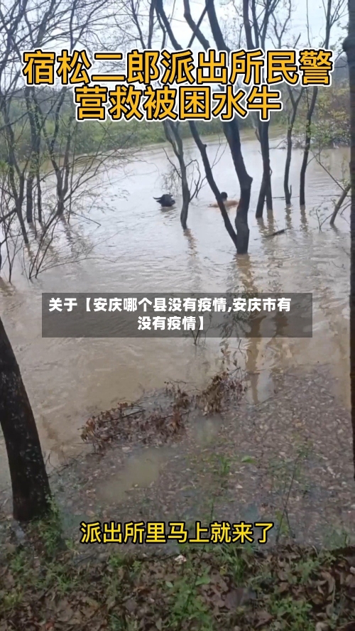 关于【安庆哪个县没有疫情,安庆市有没有疫情】-第2张图片
