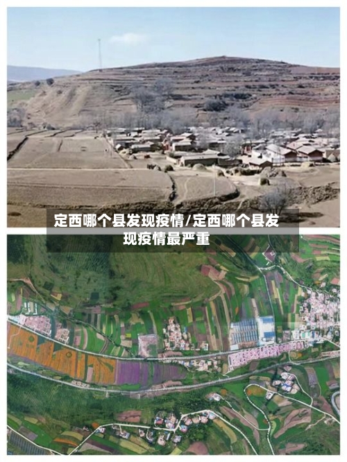 定西哪个县发现疫情/定西哪个县发现疫情最严重-第2张图片