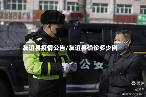 友谊县疫情公告/友谊县确诊多少例