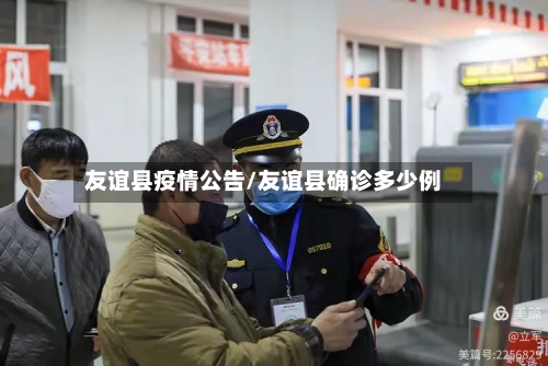 友谊县疫情公告/友谊县确诊多少例-第2张图片