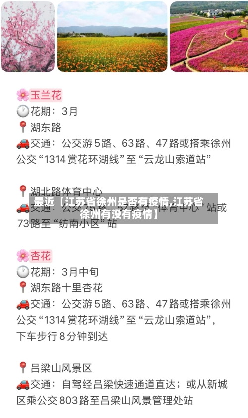 最近【江苏省徐州是否有疫情,江苏省徐州有没有疫情】-第2张图片