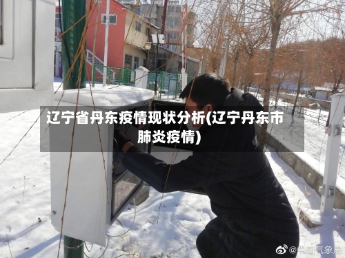 辽宁省丹东疫情现状分析(辽宁丹东市肺炎疫情)-第2张图片