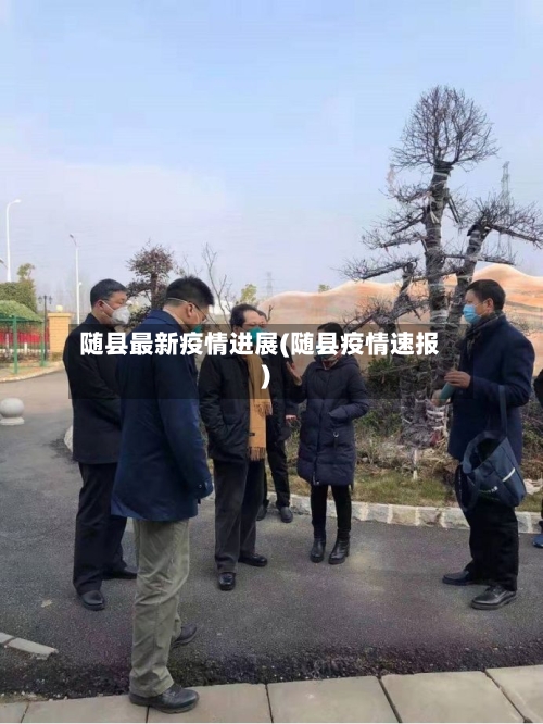 随县最新疫情进展(随县疫情速报)-第3张图片