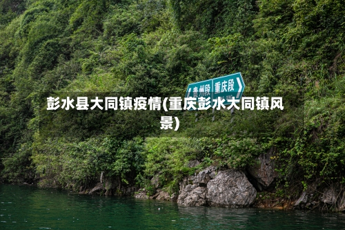 彭水县大同镇疫情(重庆彭水大同镇风景)