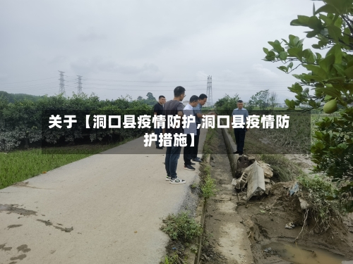 关于【洞口县疫情防护,洞口县疫情防护措施】