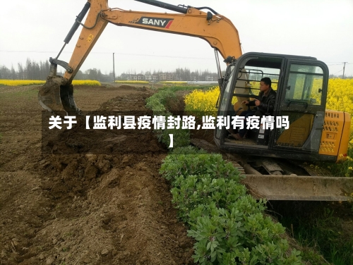 关于【监利县疫情封路,监利有疫情吗】-第3张图片