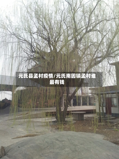 元氏县孟村疫情/元氏南因镇孟村谁最有钱-第2张图片