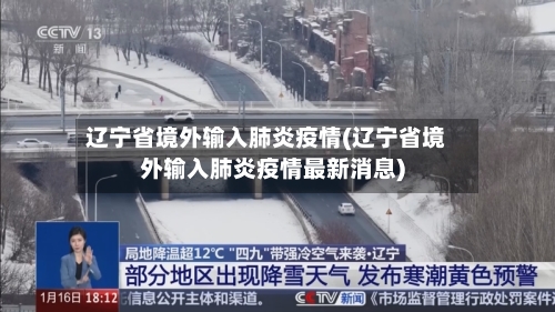 辽宁省境外输入肺炎疫情(辽宁省境外输入肺炎疫情最新消息)