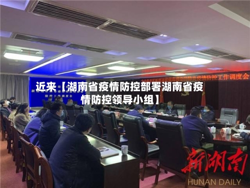 近来【湖南省疫情防控部署湖南省疫情防控领导小组】-第2张图片