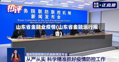 山东省金融业疫情(山东省金融运行报告)