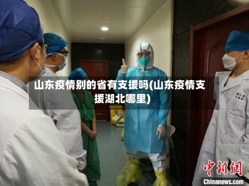 山东疫情别的省有支援吗(山东疫情支援湖北哪里)