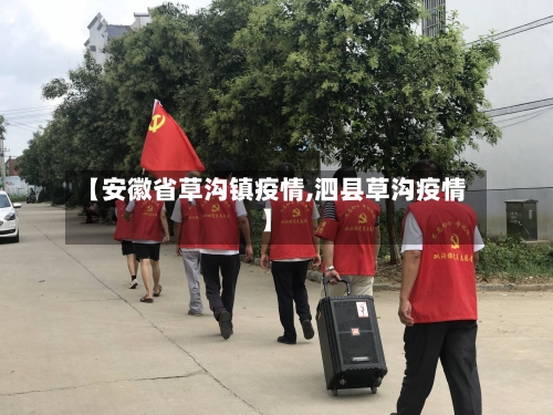 【安徽省草沟镇疫情,泗县草沟疫情】-第2张图片