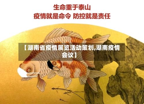 【湖南省疫情展览活动策划,湖南疫情会议】