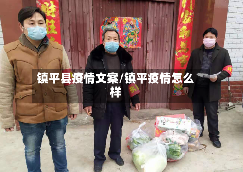 镇平县疫情文案/镇平疫情怎么样-第2张图片