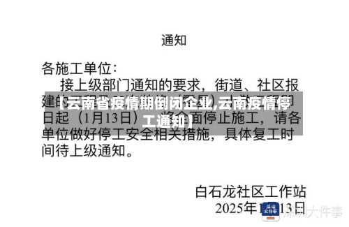 【云南省疫情期倒闭企业,云南疫情停工通知】-第2张图片