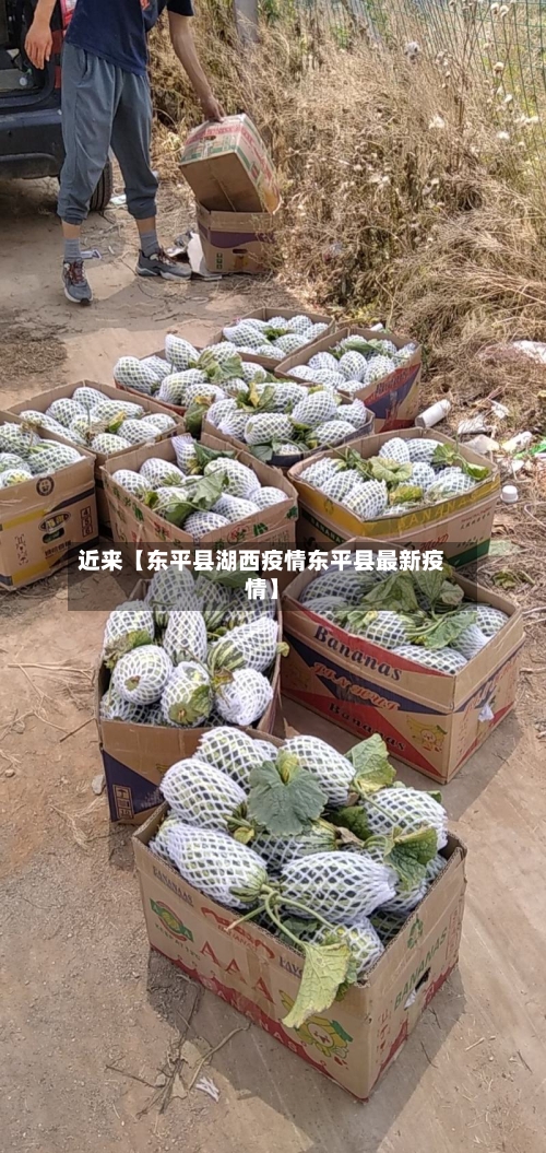 近来【东平县湖西疫情东平县最新疫情】-第2张图片