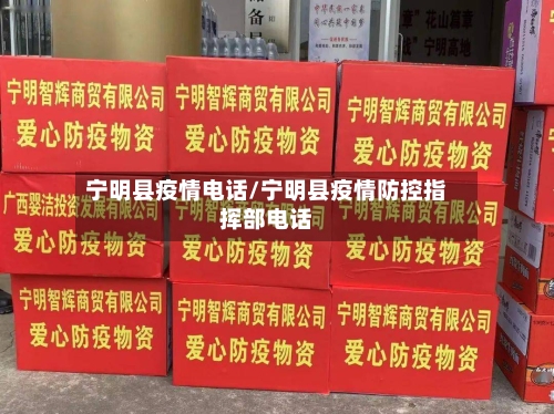 宁明县疫情电话/宁明县疫情防控指挥部电话-第3张图片