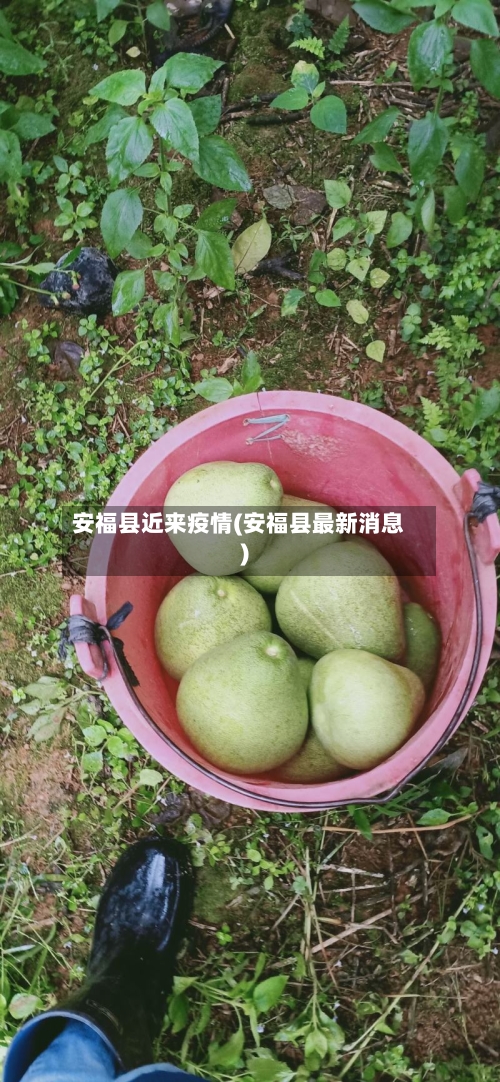 安福县近来疫情(安福县最新消息)